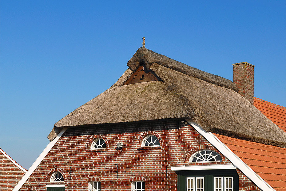 Foto aus der Fotogruppe 